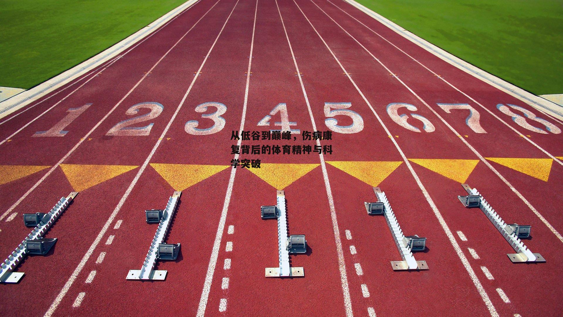 从低谷到巅峰,伤病康复背后的体育精神与科学突破