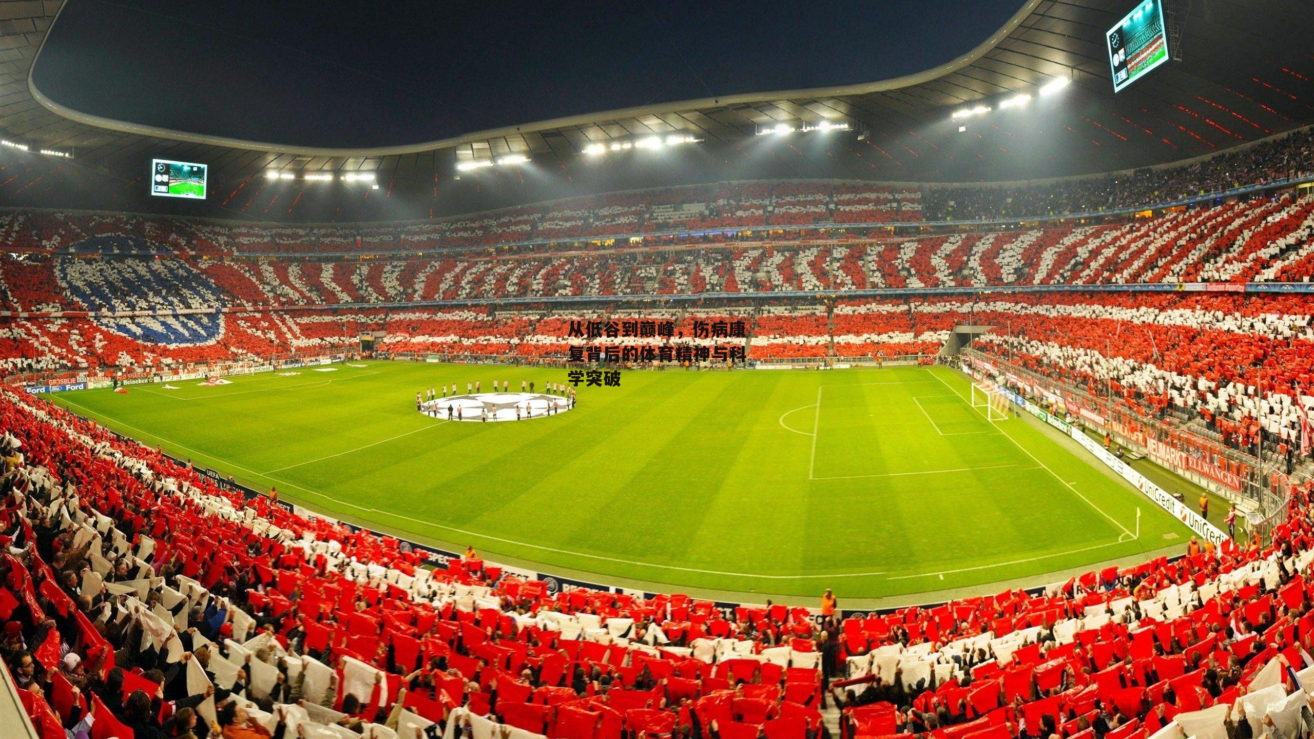 从低谷到巅峰,伤病康复背后的体育精神与科学突破