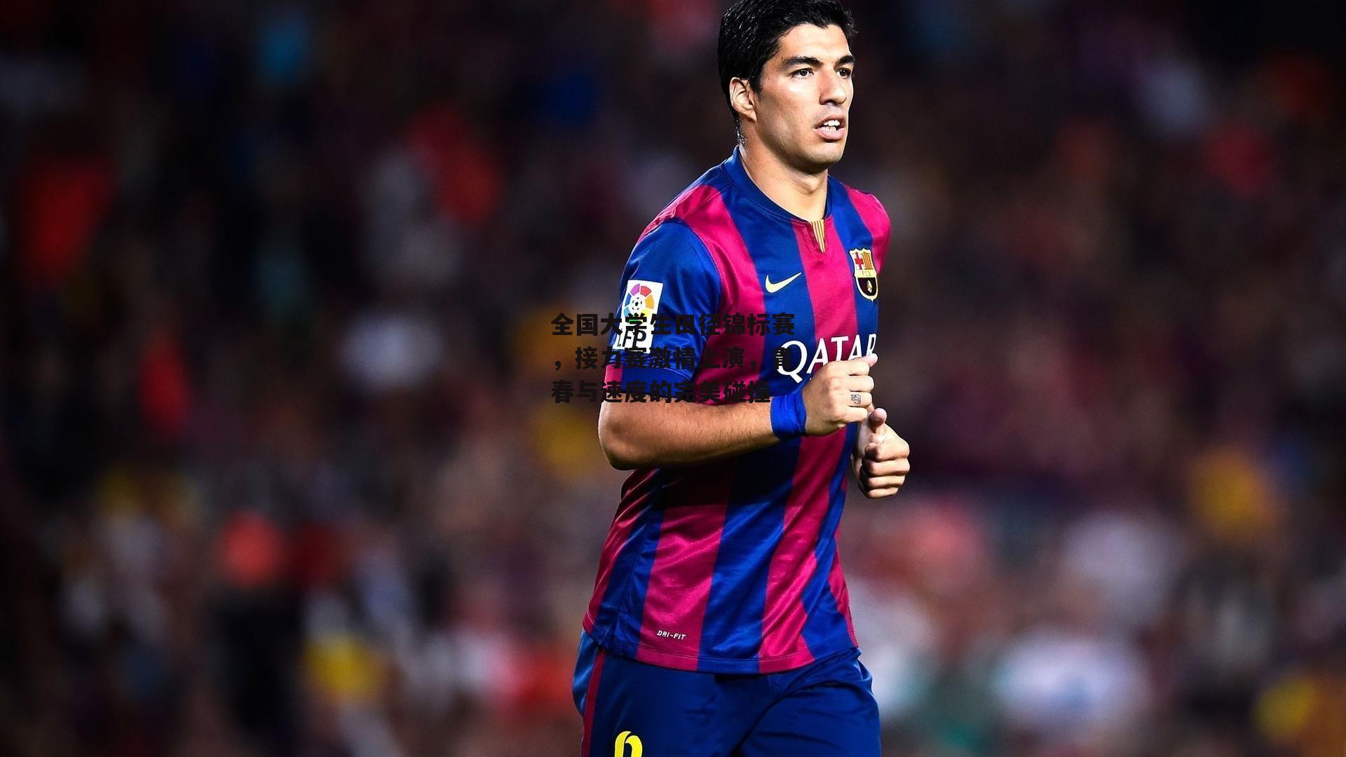 全国大学生田径锦标赛,接力赛激情上演,青春与速度的完美碰撞