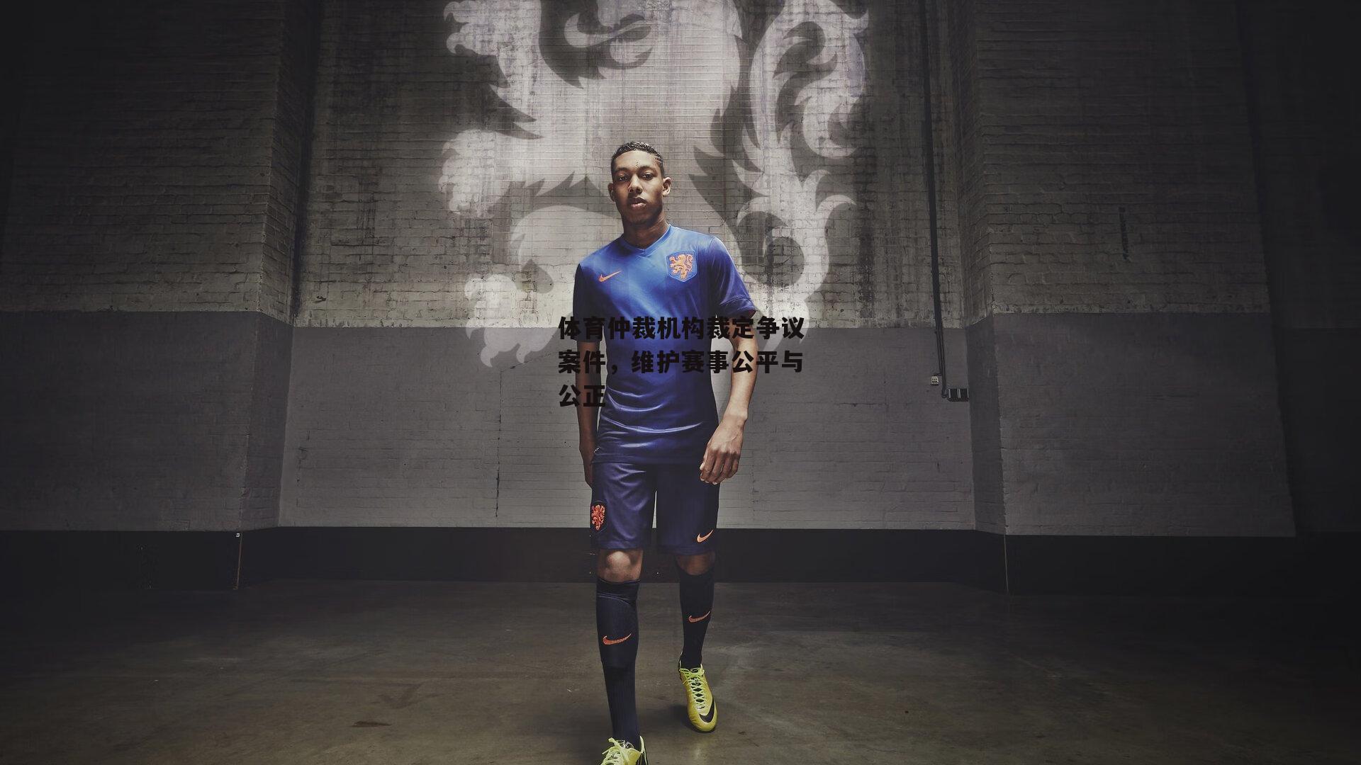 体育仲裁机构裁定争议案件,维护赛事公平与公正