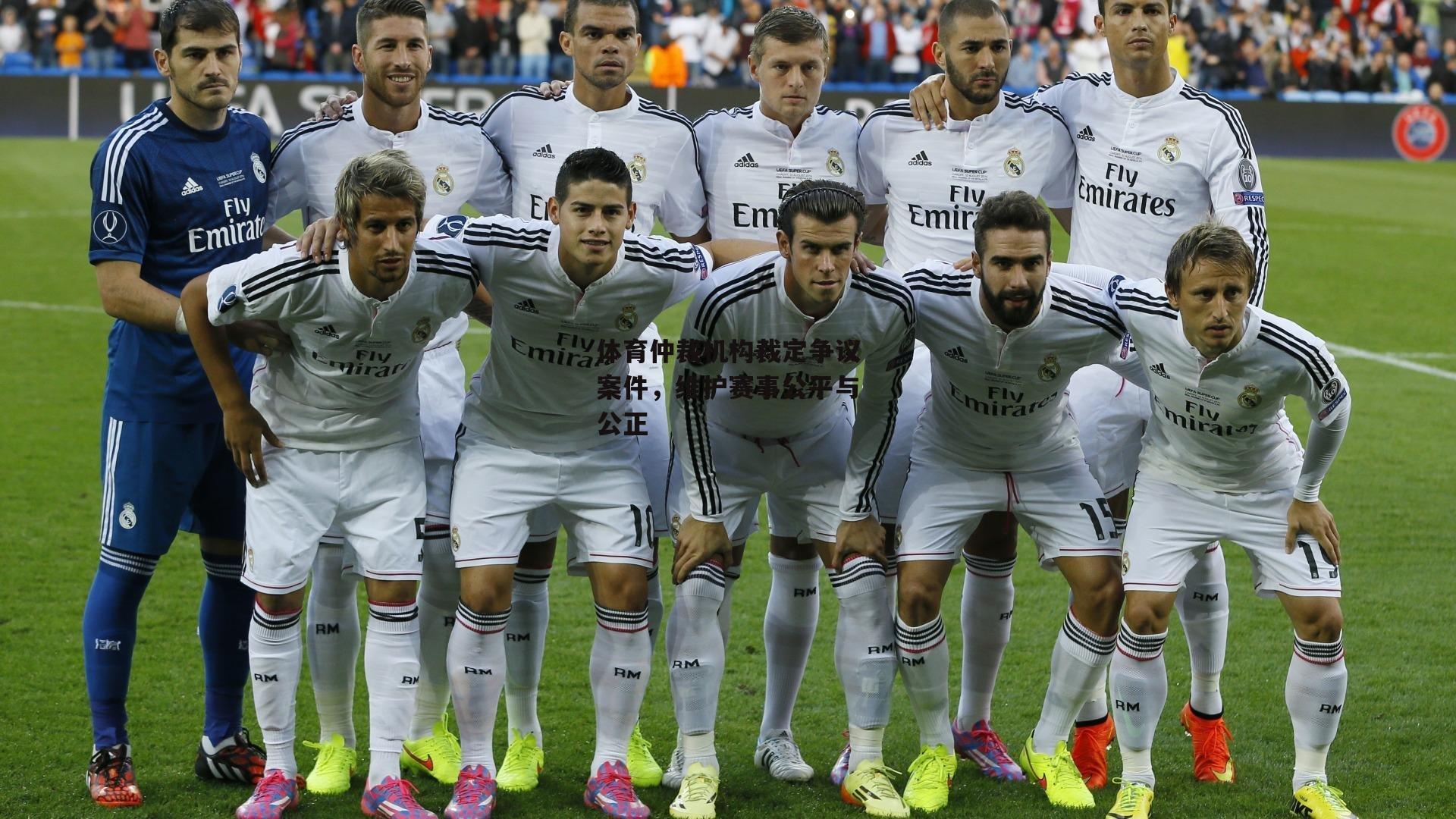 体育仲裁机构裁定争议案件,维护赛事公平与公正