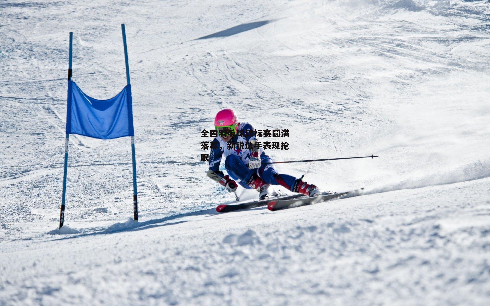 全国羽毛球锦标赛圆满落幕,新锐选手表现抢眼